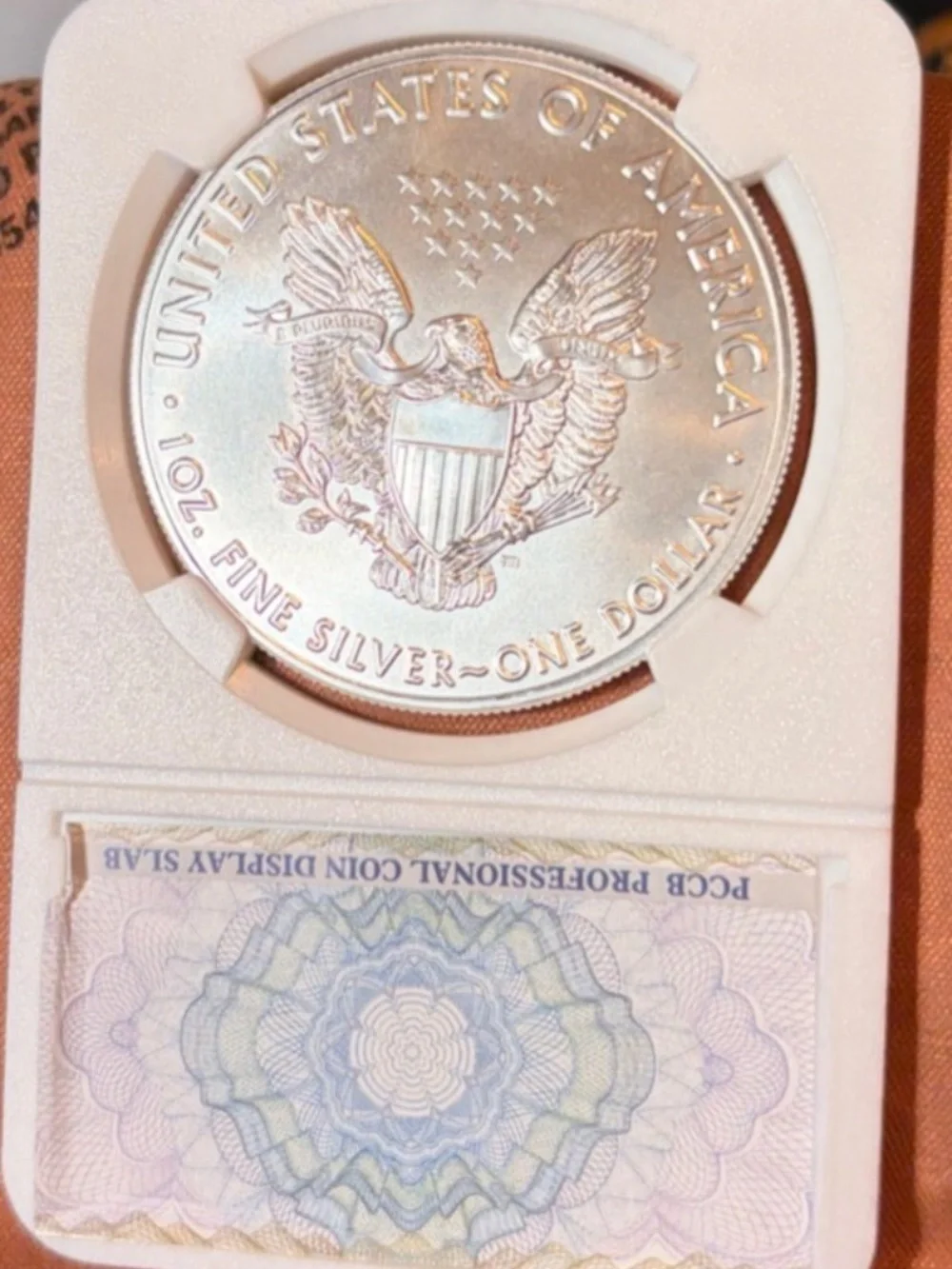 2020 Walking Liberty Mint Silver Dollar Slabbed